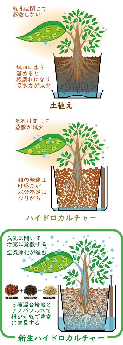 プラネットが選ばれる理由 観葉植物の生産 レンタル 販売 株式会社 プラネット
